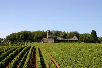 Burg & Gästehaus by Schwarzenstein Hotels in Oestrich-Winkel