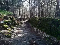 Casa de Pueblo " Rodrigo " Sierra de Gata, Villamiel, Cáceres Hotels in Sierra de Gata