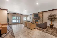 Comfort Inn & Suites Morgan
