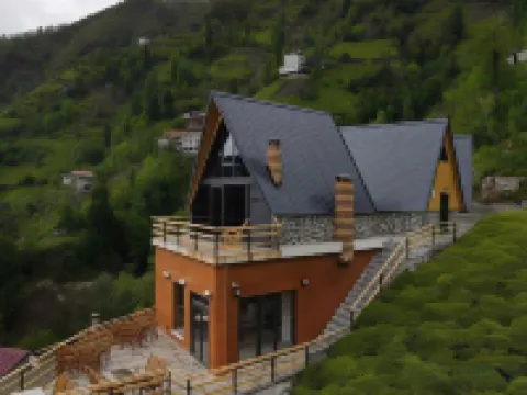 Puleri Suit Bungalow Hotels in Camlihemsin