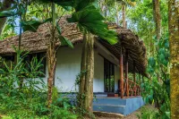 Amritara Shalimar Spice Garden Resort & Spa - bar