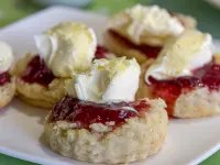 Jenny Wren Hotels in Boscastle