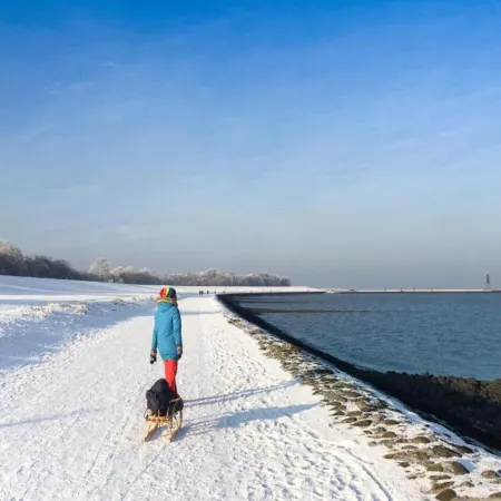 Comfort Steps from the North Sea