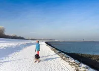 Comfort Steps from the North Sea