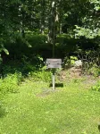 Rickett's Glen state Park!  Our cabin is only 1/2mile from the trail head.