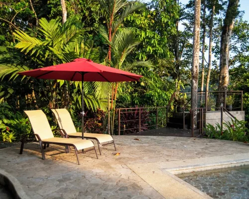 Ocean View, Infinity Pool & Lush Gardens!