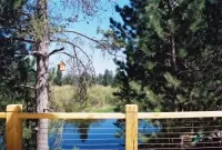 Riviera Des Chutes (River of the Falls) Cabin in the Woods