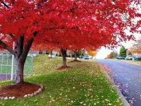 Spacious 2Br Apartment w/ Balcony • Free Parking • Near Upmc Hotels in Monroeville