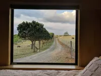 Tiny Farm House on the Hill