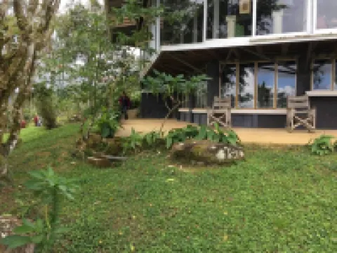 Penthouse in the jungle