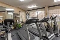 Comfort Inn Memphis Downtown - Kuntosalit