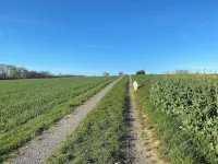 On the outskirts, close to the highway, all shopping facilities 2 rooms for 4 persons. Hotels in Abstatt