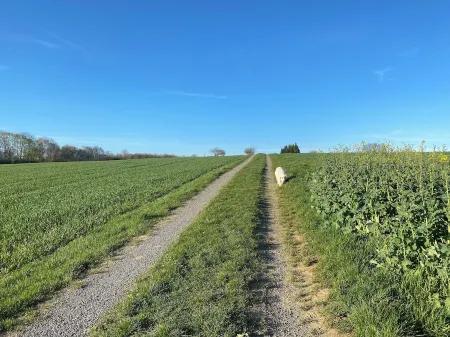 On the outskirts, close to the highway, all shopping facilities 2 rooms for 4 persons. Отели в г. Абштат