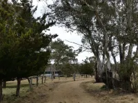 Forest Cottage – Relaxing bush stay. Pet friendly Hotels in Cooma