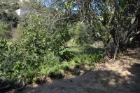 Pavillon Mimosa Malacucina Hotels in Lumio