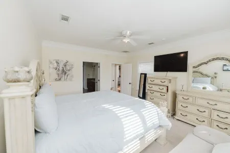 Tranquil and Luxurious 3BR/2.5BA home in Albany