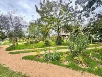 Podocarpus cottages 03