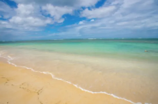 Luxury 2-Bedroom Apartment with Private Mini Pool & Backyard in Las Terrenas