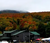 Serene 3-bedroom cabin in North Creek. Close to Gore Mountain ski resort.
