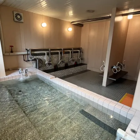 Hotel Kamoike Plaza
