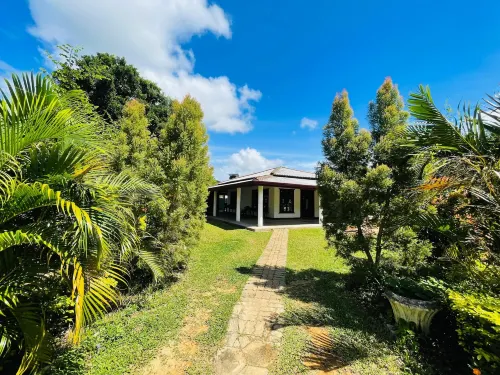 yala treetop lake Hotels in Yoda Kandiya