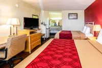 Econo Lodge Christiansburg-Blacksburg I-81 Hotel a Christiansburg