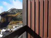 Apartment in France near Ski Slopes