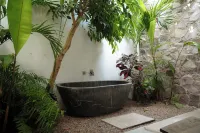 Villa Quetzalpapalotl - Alberca Privada - Villas