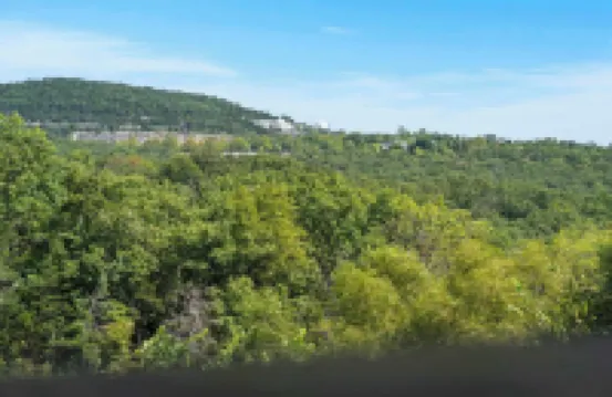 Honey Hole - 3 Bdr Hilltop Haven Close to Branson Attractions!