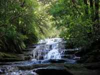 Family Retreat In Top Blue Mountains Location