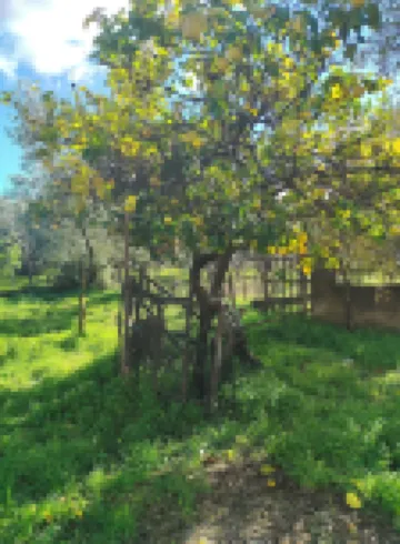 假日卡拉布里亞客房