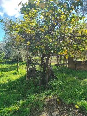 Holiday Calabria Rooms Hotels in 