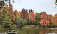 Rustic Willow Retreat - Outdoor Adventures 2 Bedroom Cabin by RedAwning