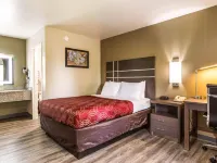 Econo Lodge Inn & Suites Hotels in Murfreesboro