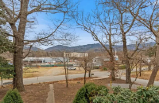 Suite 1, Quick Stroll to Downtown Black Mountain