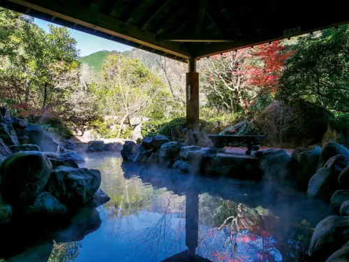 西米良温泉·カリコボーズの湯 ゆた~と - 温泉