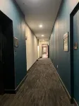 6min to Domain   12min DT   Balcony   Free Parking - Homestays