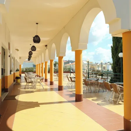Rialgarve