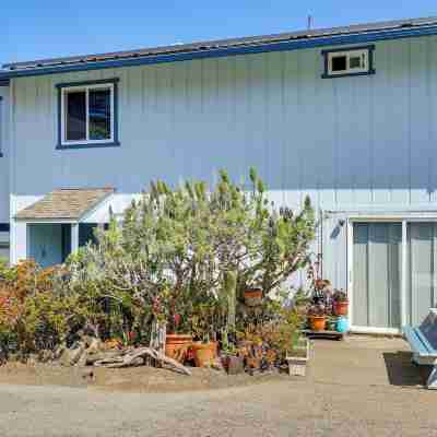 Walk to Moonstone Beach! PCH Getaway Hotel Exterior