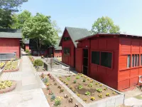Pension Pinokio - 2 Yıldız
