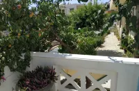Renia Studios -Studio for 2 Pers with a Swimming Pool - Apartments