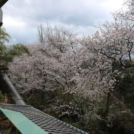 Yunoyado Hakusan Shoubutei