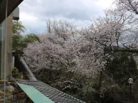Yunoyado Hakusan Shoubutei - 山景