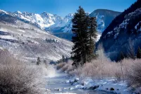 Spruce Way 209, 2BD East Vail Condo - Gym