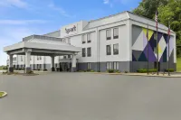 紐康麥斯敦希爾頓斯帕克酒店 - 親子