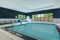 Hampton Inn & Suites by Hilton Burlington Toronto - Swimmingpools