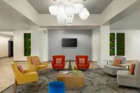 Hilton Garden Inn Raleigh-Durham/Research Triangle Park - Pet friendly