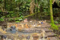 Termales del Bosque & Hot Springs - Hot Springs