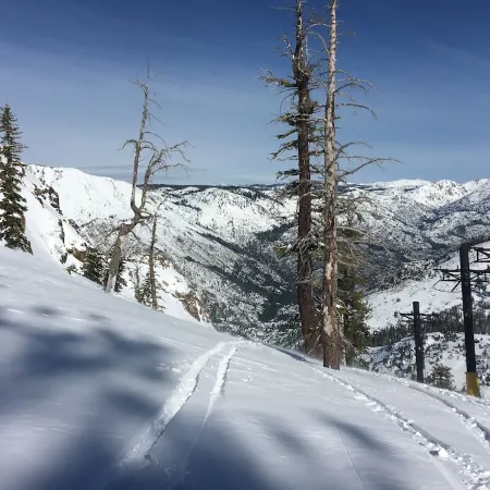 Ebbetts Pass Getaway - Awesome Easy Access Large Mountain Cabin