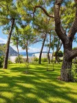 Z-Villas Beach Hotel - Villas